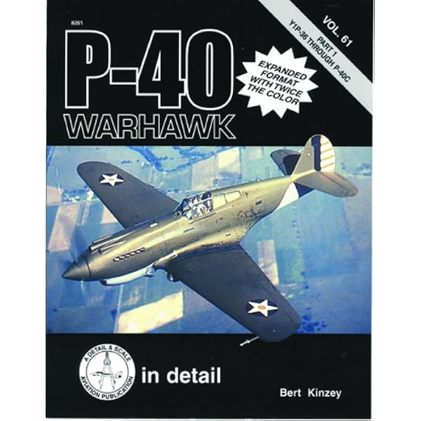 P-40 Warhawk in detail, Part 2 - P-40D through XP-40Q: Bert